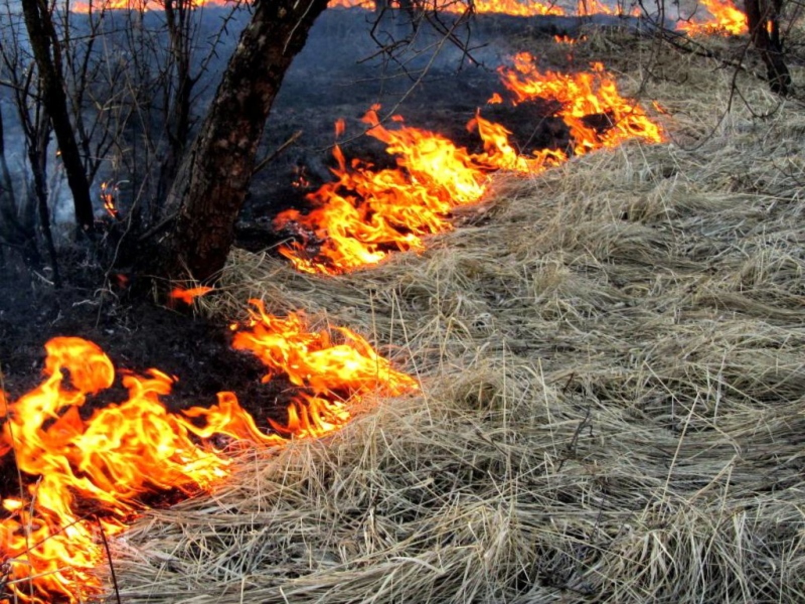 Пожары в Канском районе.